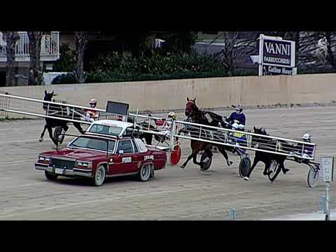 Aversa trotto 17 Febbraio 2021 - 1° Corsa