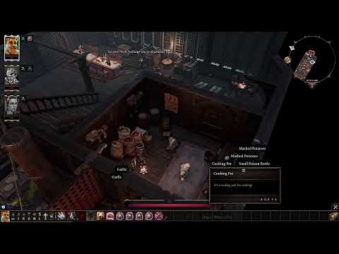Divinity Original Sin 2: Endgame Walkthrough - Part 25 (1/5/23)