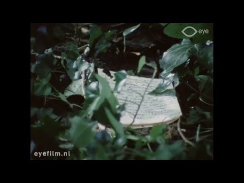 Soldaten zonder geweren
