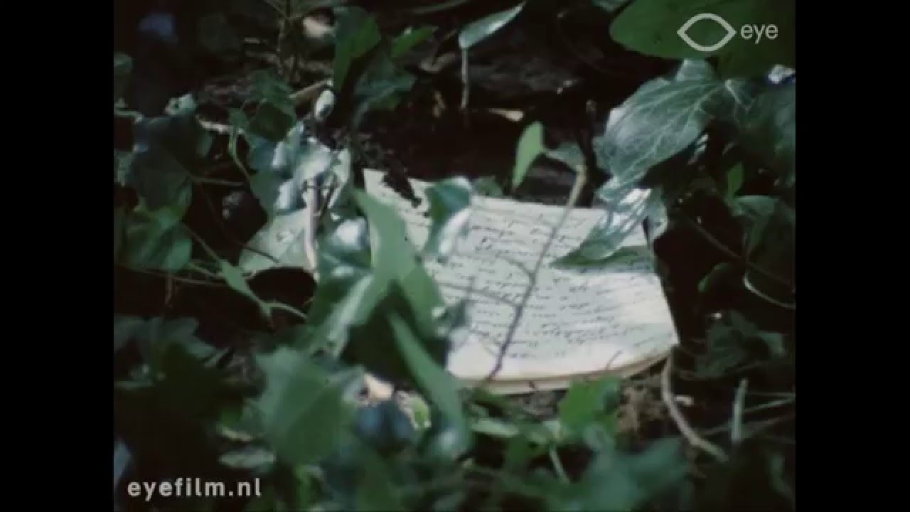 Soldaten zonder geweren