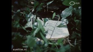 Soldaten zonder geweren