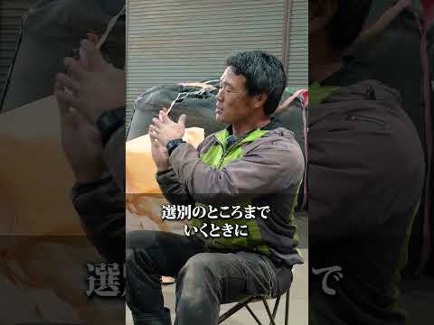 グラボヴィカ (?avnik) - 定義