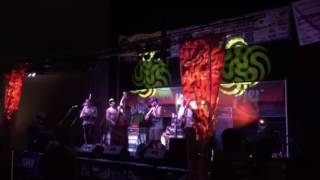 Old Salt Union covers You Can Call Me Al