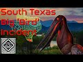 The Rio Grande Valley Big Bird Incident