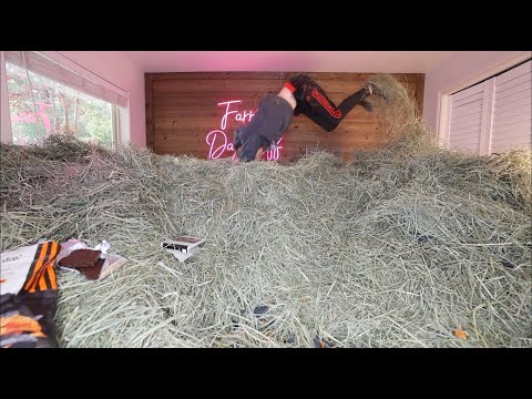 5 This Brandybilly Hack Blew My Mind