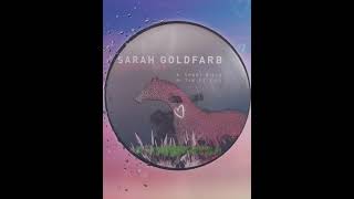 (Minimal 2007) Dumb Unit - Sarah Goldfarb ‎- Sportbilly EP - Tin et Tus