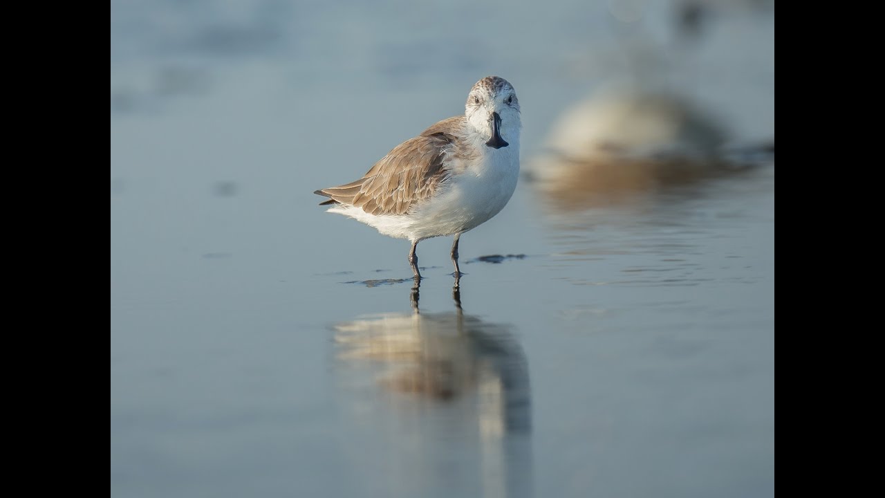 China: Between Clouds and Dreams - Trailer