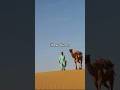 Rub' al Khali (Empty Quarter), Saudi Arabia/Oman/UAE/Yemen