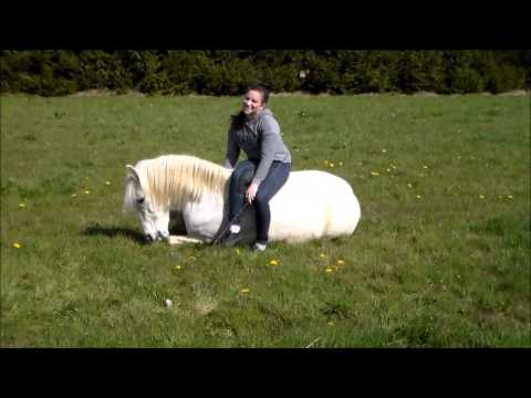 The best proof of love is trust ღ