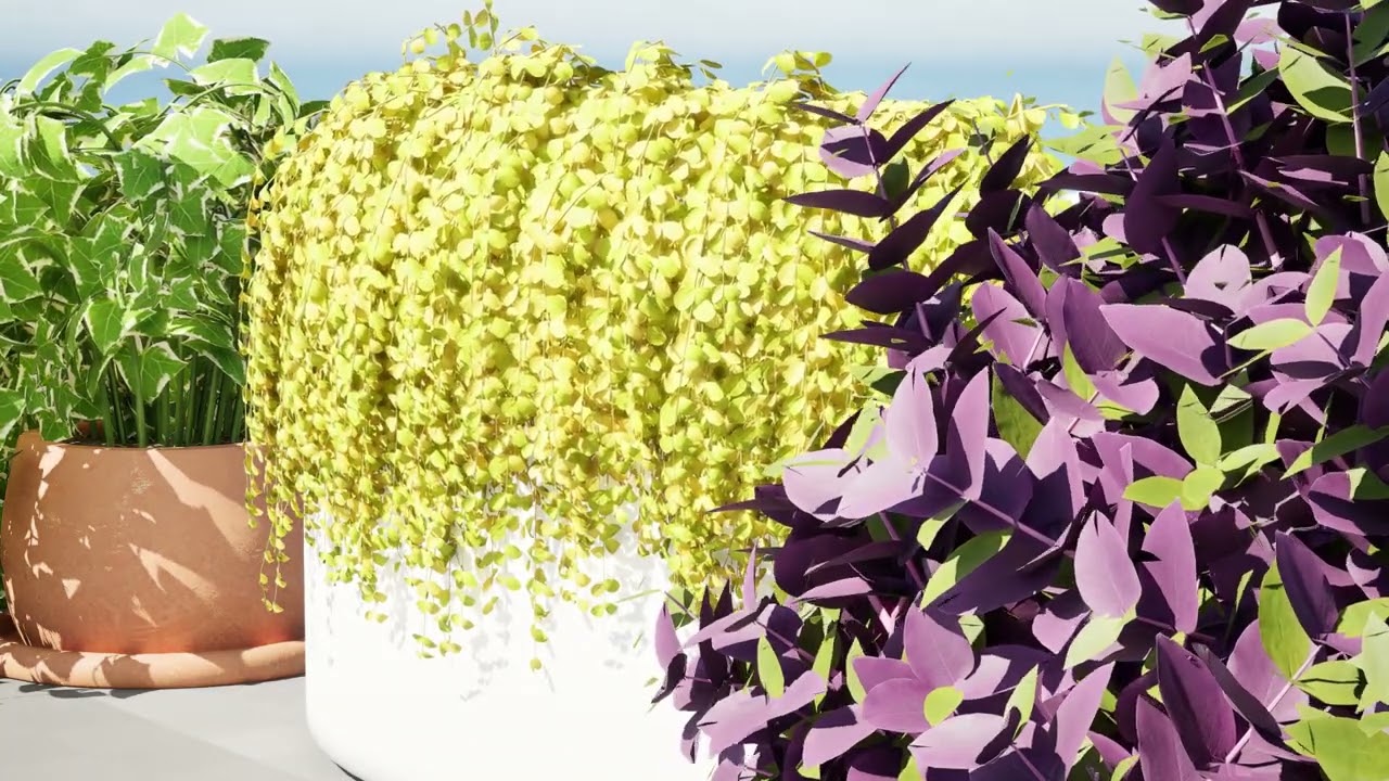 Golden Trio Plants 3D Model