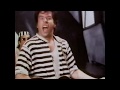 MOJO NIXON - Destroy All Lawyers