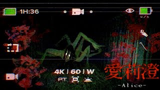 Steam版『Alice 愛莉澄』をプレイしたら思った以上にムズすぎて死にまくった-Alice 愛莉澄-《SUM & CHAPPIE》