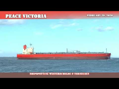 Shipspotting Westerschelde @ Terneuzen - "Peace Victoria" - 29-02-2020 (1)