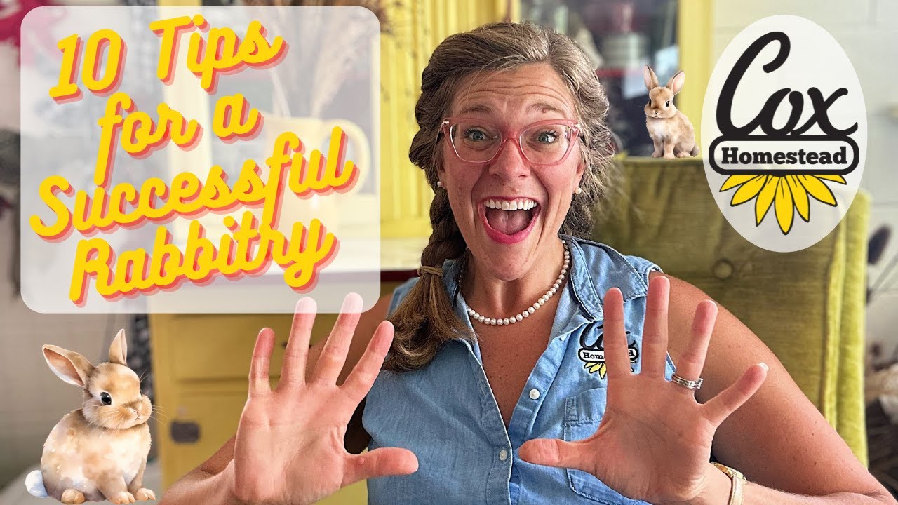 Top 10 Tips to Successfully Raising Meat Rabbits | Cox Homestead