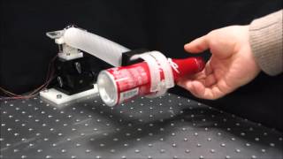 Shape Memory Alloy-based Wrist and Gripper