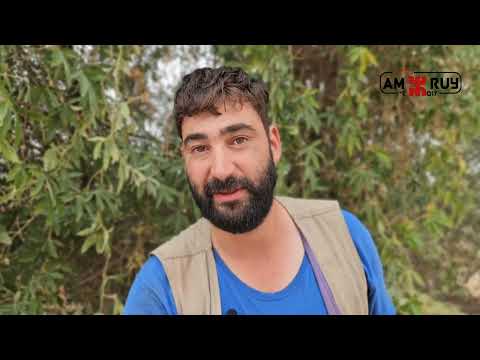 Ouabas tamɣra anzik