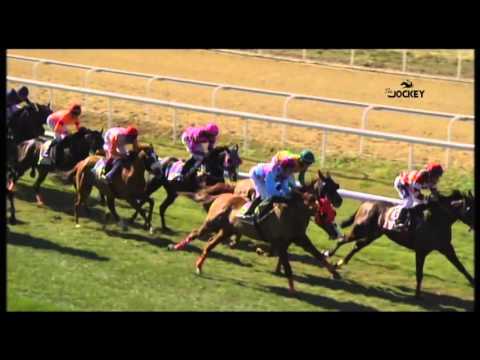 4 Carrera, premio DVA Información, 31 de enero 2016 - Gran Hipódromo de Andalucía