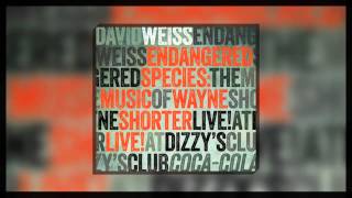 David Weiss - Fall