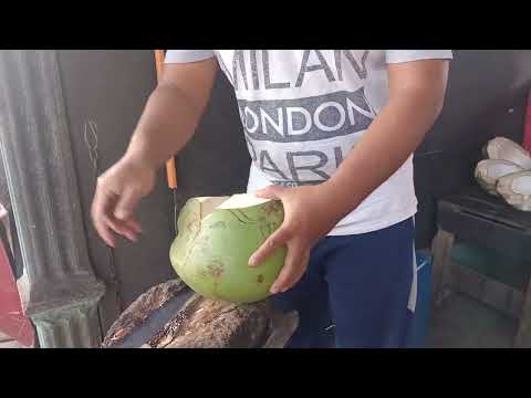Master of coconut cutting skills Won MICHELIN Star in Bangkok Thailand! Thai Street Food