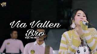 Download lagu Via Vallen - Sera - Bro (  Dangdut Koplo ) mp3