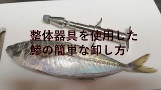 【検証】整体の特殊器具を使って鯵をおろしてみた。