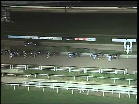 Trotto 09/09/2014 - 8° corsa