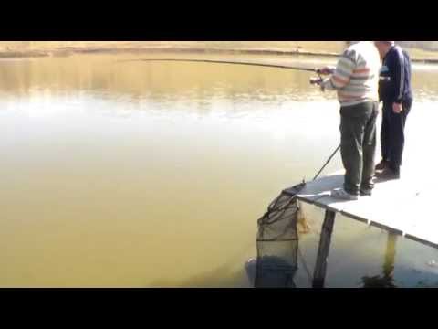 Captura Crap Oglinda la Lacul Valea Mare 23 03 2014