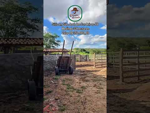🌿 SÍTIO TIMBAÚBA – RICO EM ÁGUA E PRONTO PARA PRODUÇÃO NO CARIRI PARAIBANO 🌿