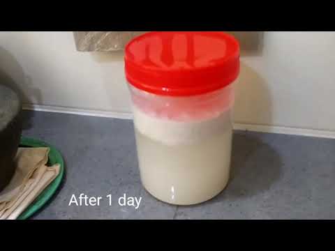 download lagu mp3 mp4 Coconut Oil In Glass Jar Vs Plastic, download lagu Coconut Oil In Glass Jar Vs Plastic gratis, unduh video klip Coconut Oil In Glass Jar Vs Plastic