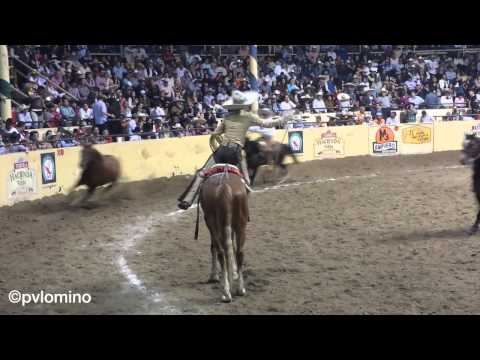 Manganas A Caballo - J. Andres "Chiringas" Aceves (Final Ja14sco)