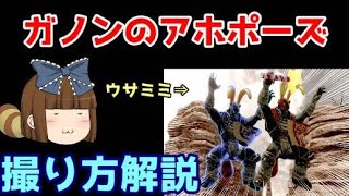 【ゆっくり解説】アホ可愛いガノンドロフの撮り方を解説