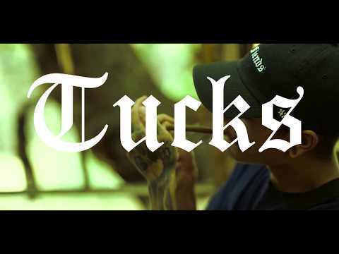 Tucks - Lunatic With A Stick OFFICIAL MUSIC VIDEO