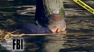 Thumbnail del capítulo