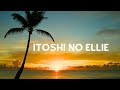🌴 Southern All Stars - Itoshi No Ellie 🌊