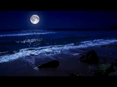 5K Tropical Beach Night - 8 HOURS of Soothing Nature Night Sounds for Relaxation and Sleep