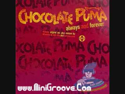 Chocolate Puma Vs. Bingo Players -  Disco Electrique (Vocal Mix) (www.MiniGroove.com)