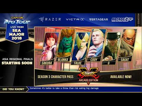 SEA Major 2018 - ASIA REGIONAL FINALS TOP 8 #SEAM2018