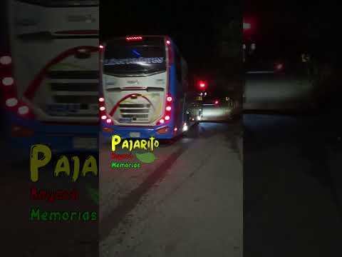 Pajarito - Boyacá (6:33 p.m.)  10/12/2025