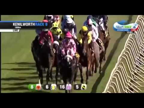 2016 Maine chance Paddock stakes