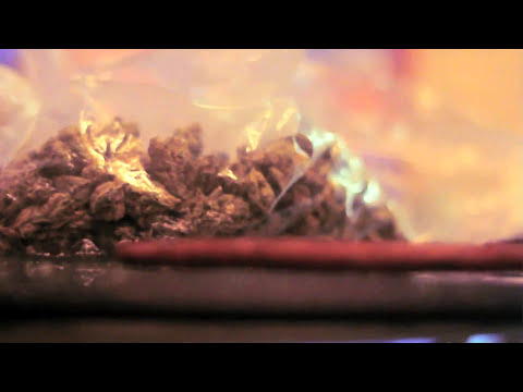 Y.N.O.T Crew X Nellz GC - YNF