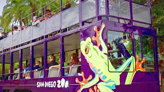 San Diego Zoo Bus Tour Double Decker 2021  Full To