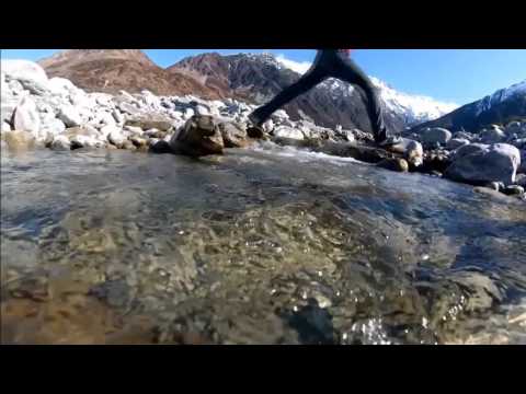 Martin Solveig - The Night Out (Stas House & Sigma Remix)