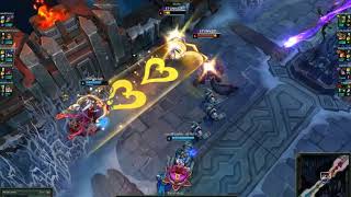 Warkwick sniffing Kaisa's butt