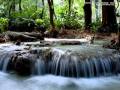 Blackfeel Wite - Silence (Original Mix) 