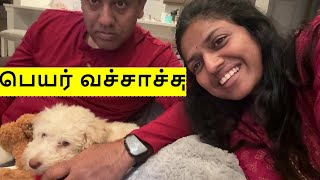 Announcing our PUPPY name!! All about our little one !! Breed? Price? Family Traveler USA Tamil VLOG
