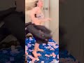 Rimal Ali Shah Sexy Video TikTok