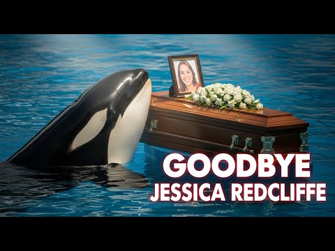 “Orca Cries for Jessica Redcliffe – A Heartbreaking Goodbye”