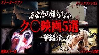 【 映画紹介 】あなたの知らない Z級映画 達5選 一挙紹介【 ﾎﾗｰ映画紹介Vtuber 】【 ホラー映画 】【 クソ映画 】
