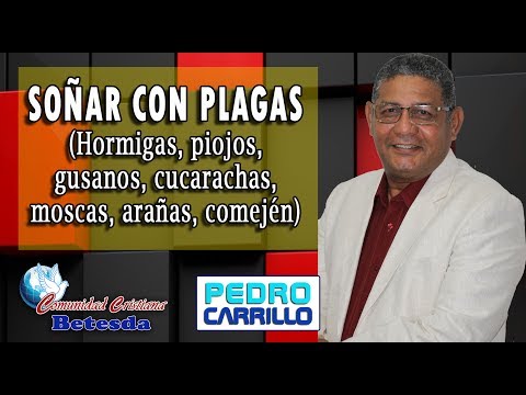 #094 "DREAMING ABOUT PESTS (INSECTS) WHAT COULD IT BE?" Pastor Pedro Carrillo