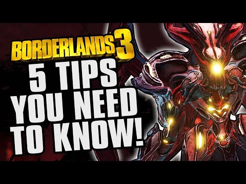 5 MUST KNOW Tips for the Guardian Takedown! - Borderlands 3